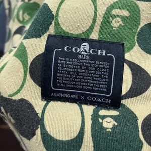 Bape x coach hoodie